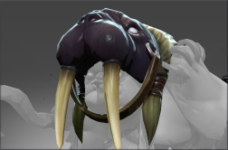 Head of the Odobenus One