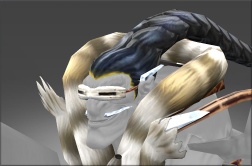 Head of the Apex Explorer