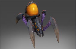 Amber Queen's Spiderling