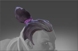 Hair of the Witch Hunter