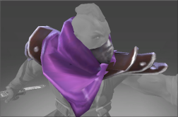 Shoulders of the Witch Hunter