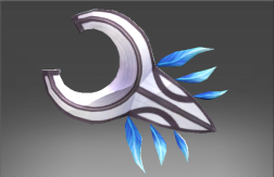 Umbra Rider Shield