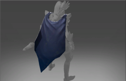 Cloak of the Master Thief